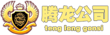 腾龙游戏工作室